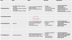 Kalsiyum kanal blokerleri