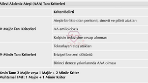Ailevi Akdeniz Ateşi (FMF)