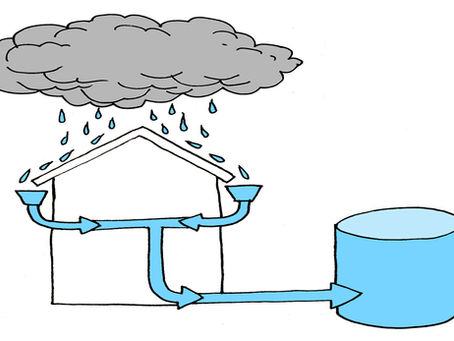 Is Rainwater Harvesting Right for You?