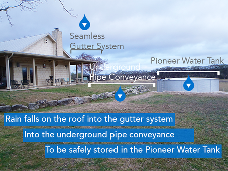 Rainwater Harvesting on a Budget: Sustainable Solutions for Every Home