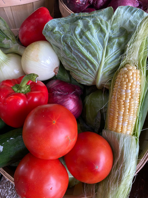 Tomatoes, cabbage and corn