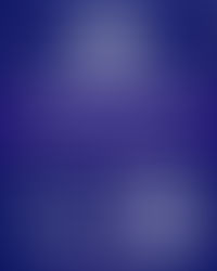 Laborers Local 1010 Scholarship Program