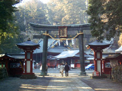 20 tori nikko