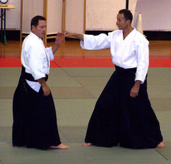demo A
