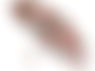 三つ折傘新作柄はなんと……(´｡✪ω✪｡｀)