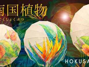 南国気分を味わえる✨　オリジナル傘は和心で！