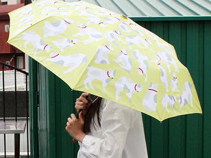 2020年もきっと梅雨は来ます・・・
