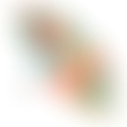 真っ赤な椿が可愛らしい♡オリジナル傘は和心OEMで♪