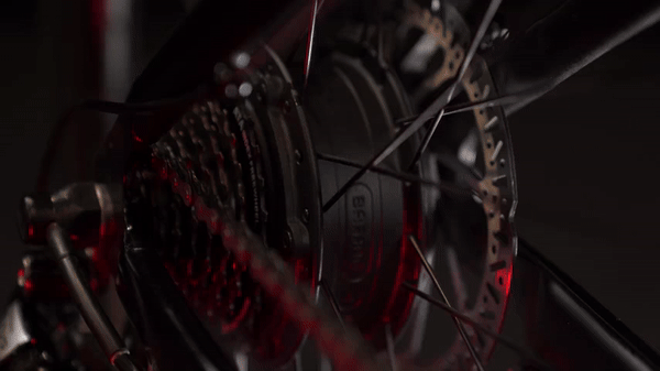 Globally renowned BAFANG brushless motor