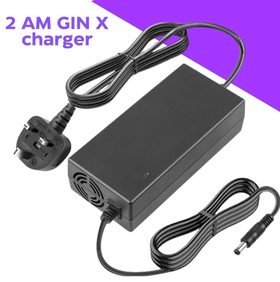 GIN X charger 2 ampere