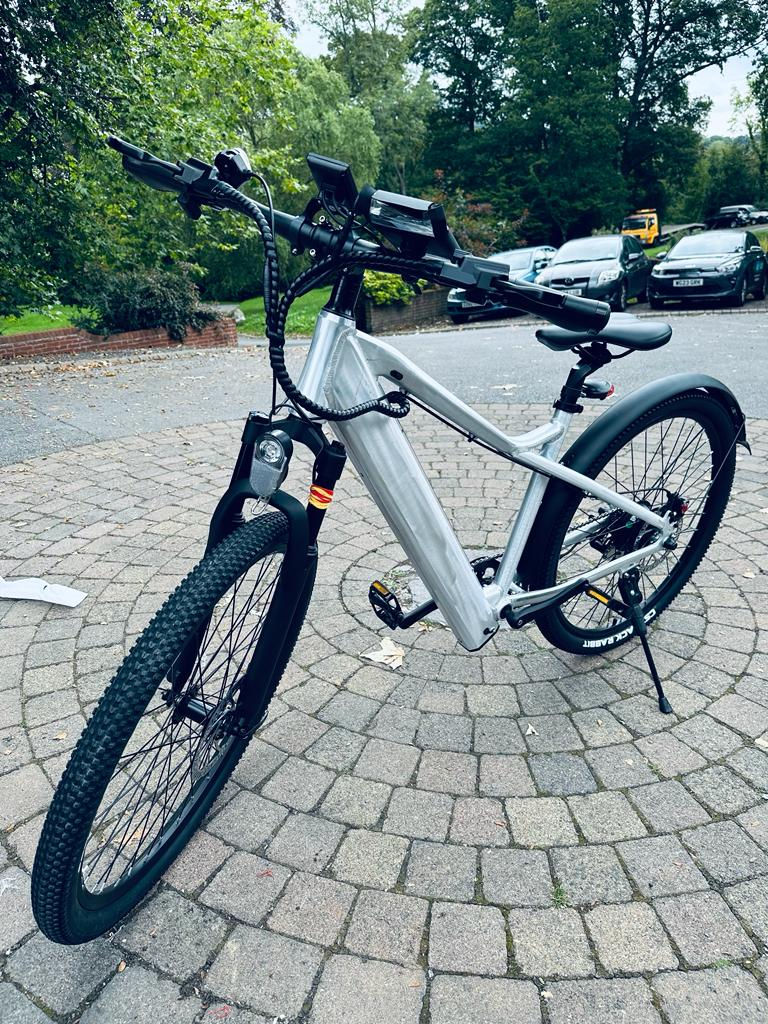 GIN X ebike 250W [nonpainted frame] GIN