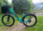 GIN X turquoise