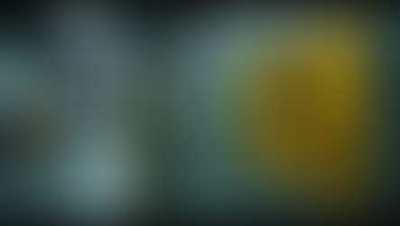 Unlock the Power of Tailored WHS Support and Advisory for Your Business Success