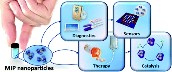 PLASTIC ANTIBODIES