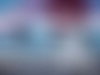 The International Program in Scenography by OISTAT  is announcing a call for proposals for its 5th edition, dedicated to the theme “Bird in Space”