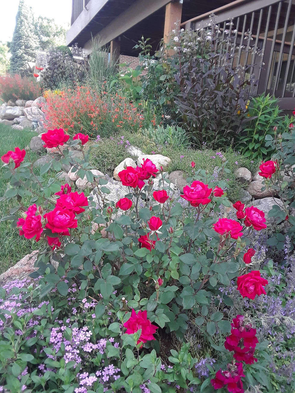 20190627_180418