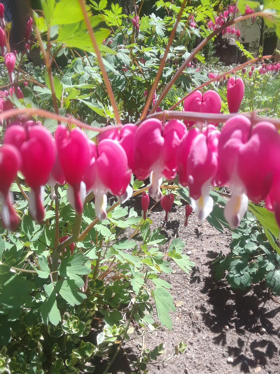 20180508_122930