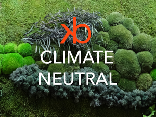 Climate Neutral Now