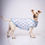 Miniatura: Capa de Franela Bluey