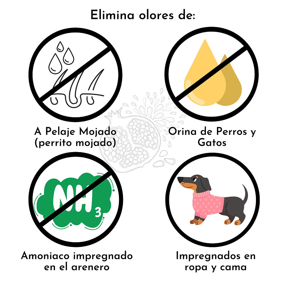Miniatura: Eliminador de Olores