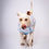 Miniatura: Capa de Franela Bluey