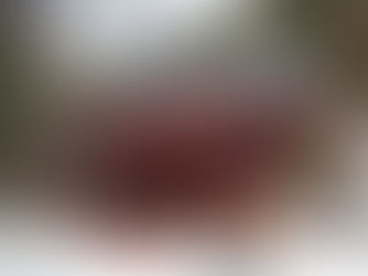  ［公募プラン］本格雪山登山　冬の稲村ヶ岳