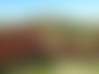 ［公募プラン］紅葉の東大台