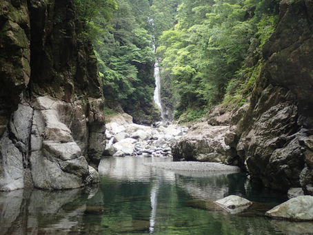 ［公募プラン］秘境・大杉谷から大台ヶ原