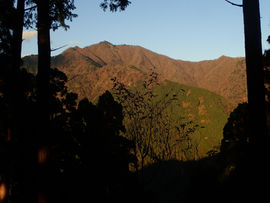 ［公募プラン］台高山脈・白鬚岳（ショウジ山周回コース）