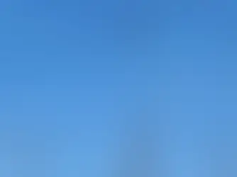 " Como autoridades estamos trabajando para la conservación del área natural protegida de Sierra de la Laguna: Cristina González Rubio "