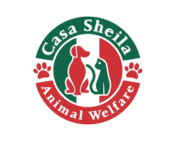 " Casa Sheila, tendrá jornada gratuita  de esterilización de perros y gatos"