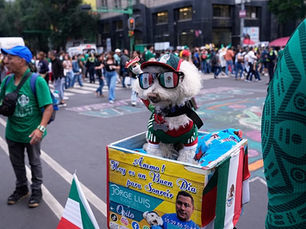 Osito, el perro viral que conquista a los aficionados del Mundial en Ciudad de México
