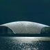 Abrirá un Museo de la Ballena en el Ártico