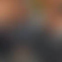 Alto Comisionado de la ONUDH se reúne con senadores