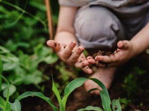 Finlandia convierte la tierra en aliada de la salud infantil