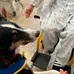 La terapia canina ayuda ya a casi un centenar de menores en el Hospital de Jaén