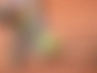 ATP Los Cabos abrirá espacio para jóvenes promesas del tenis mexicano
