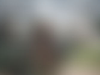 A dos años del secuestro de "El Mayo", Sinaloa sigue atrapado en una crisis de violencia y económica