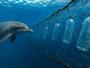 Unas botellas de plástico reducen un 88% la captura accidental de delfines