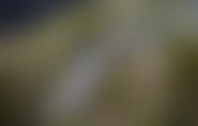 “La FGR se apresuró a hablar de extinción de la acción penal en el caso de las investigaciones del descarrilamiento del Tren Interoceánico”: Dr. Rafael Estrada Michel 