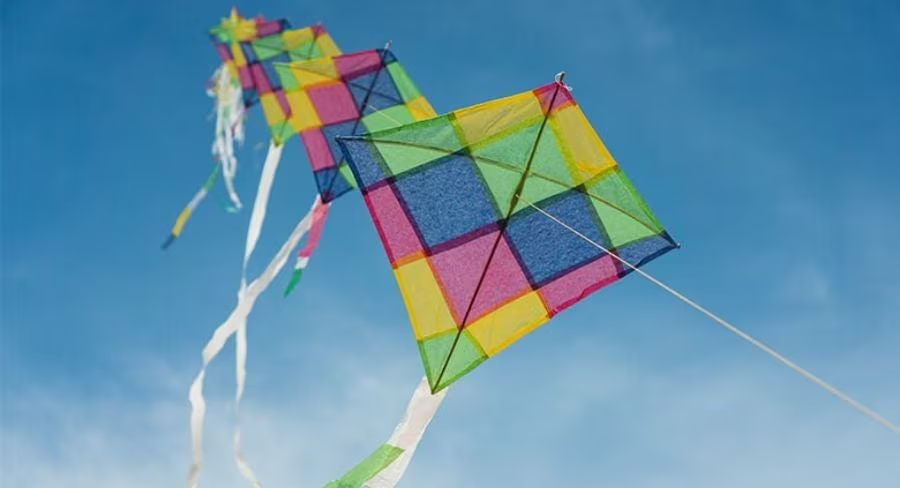 Regresa la novena edición del Dibufestival en Los CabosRegresa la novena edición del Dibufestival en Los Cabos