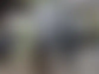 PRI arrasa en Coahuila y perfila mayoría absoluta en el Congreso local