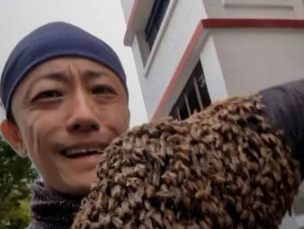Clarence Chua, el rescatador de abejas 