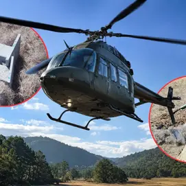" Que se ponga un alto al ecocidio en Sierra de la Laguna : Elizabeth Álvarez"