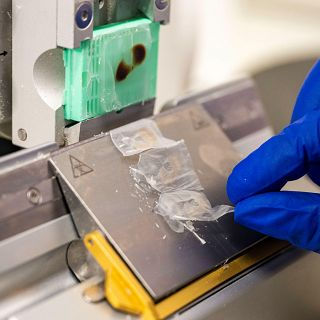 Científicos españoles usan las escamas de los peces para regenerar la córnea humana