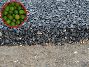 Barcelona usará huesos de aceituna para asfaltar calles