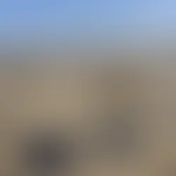 Derrame de hidrocarburos en Veracruz paraliza la cadena productiva de pesca