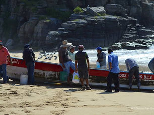 " Por las condiciones de mar de fondo que prevalecen en Punta Lobos los pescadores de las distintas cooperativas no han podido salir en 3 o 4 días: Lucio Beltrán "