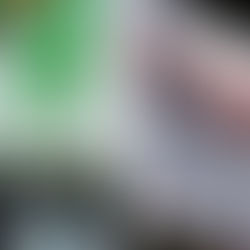 Se fractura la alianza Morena-PT-Verde rumbo a las elecciones de 2027