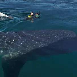 Semana Santa en La Paz: Tours imperdibles entre naturaleza y aventura